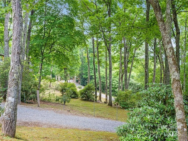 167 Bold Springs Rd, Sylva, NC 28779 - view of home's community with a yard