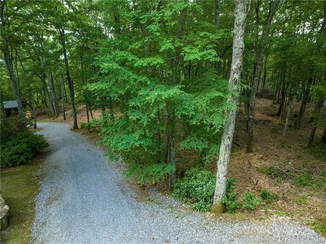167 Bold Springs Rd, Sylva, NC 28779 - view of road featuring a forest view