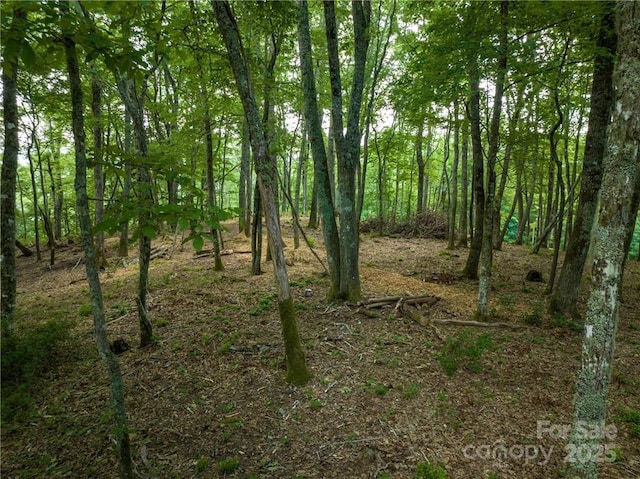 167 Bold Springs Rd, Sylva, NC 28779 - view of landscape