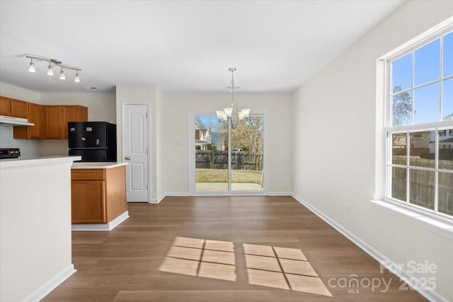 kitchen featuring hanging light fixtures, light countertops, light wood-type flooring, freestanding refrigerator, and brown cabinetry