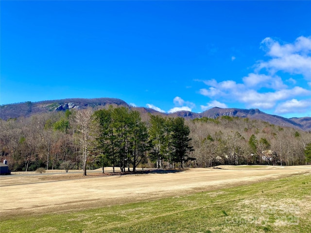 view of mountain feature featuring a wooded view