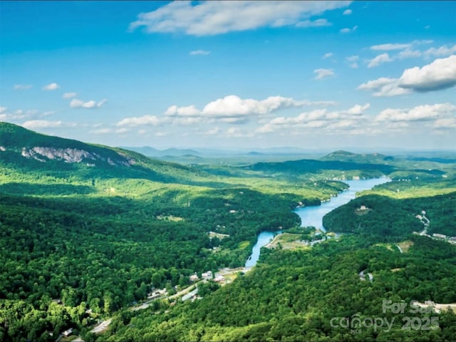 property view of mountains featuring a view of trees and a water view