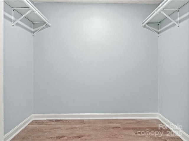 walk in closet featuring wood finished floors