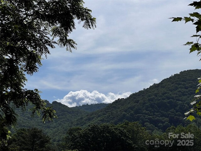 2 Trillium Dr Unit H-2, Canton, NC 28716 - photo 4
