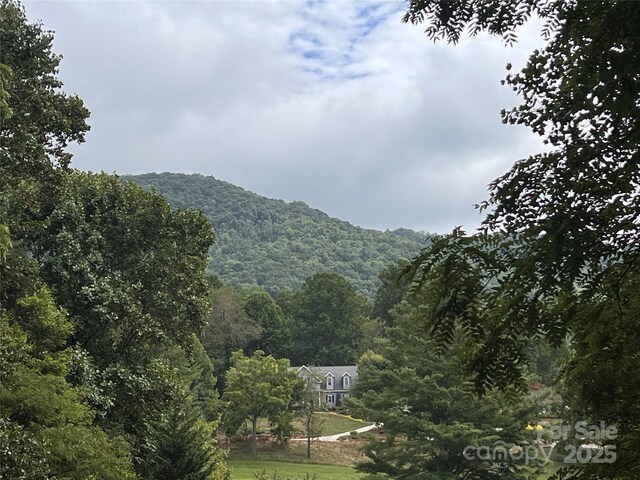 2 Trillium Dr Unit H-2, Canton, NC 28716 - photo 5