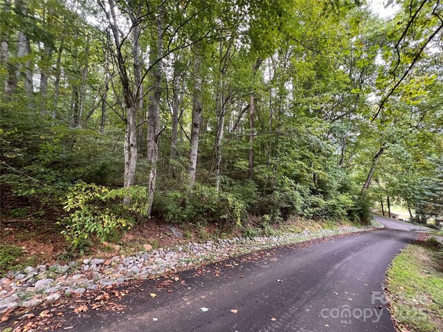 2 Trillium Dr Unit H-2, Canton, NC 28716 - photo 11
