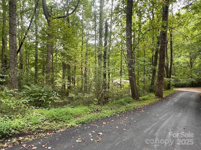 2 Trillium Dr Unit H-2, Canton, NC 28716 - photo 12