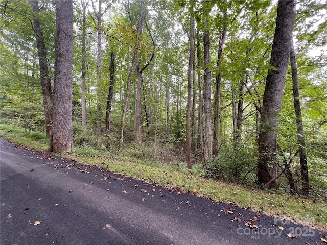 2 Trillium Dr Unit H-2, Canton, NC 28716 - photo 13