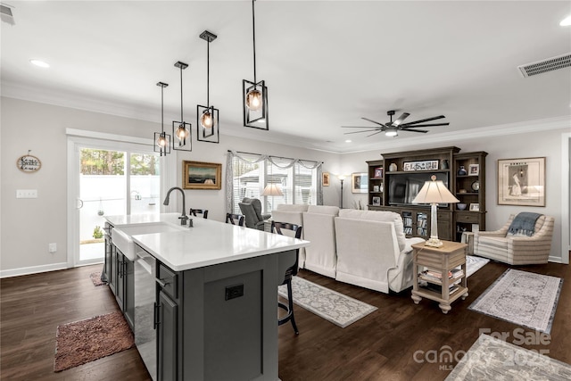 kitchen featuring light countertops, dark wood-style flooring, a sink, and a wealth of natural light