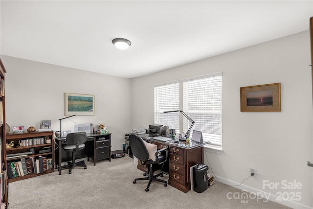 office featuring carpet flooring and baseboards