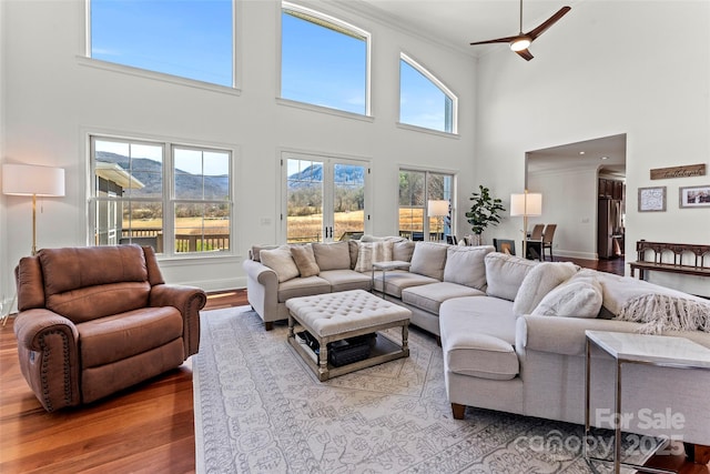 living area with ornamental molding, baseboards, a mountain view, and light wood finished floors