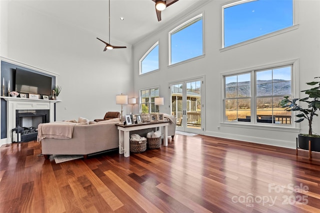 living room featuring a fireplace, a mountain view, baseboards, and wood finished floors