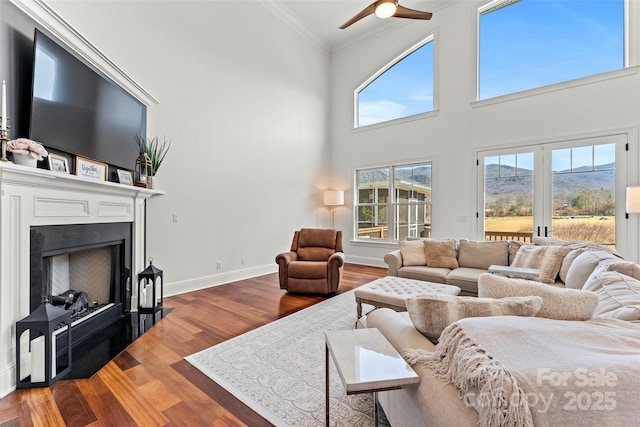 living room featuring ornamental molding, a fireplace with flush hearth, a mountain view, wood finished floors, and baseboards