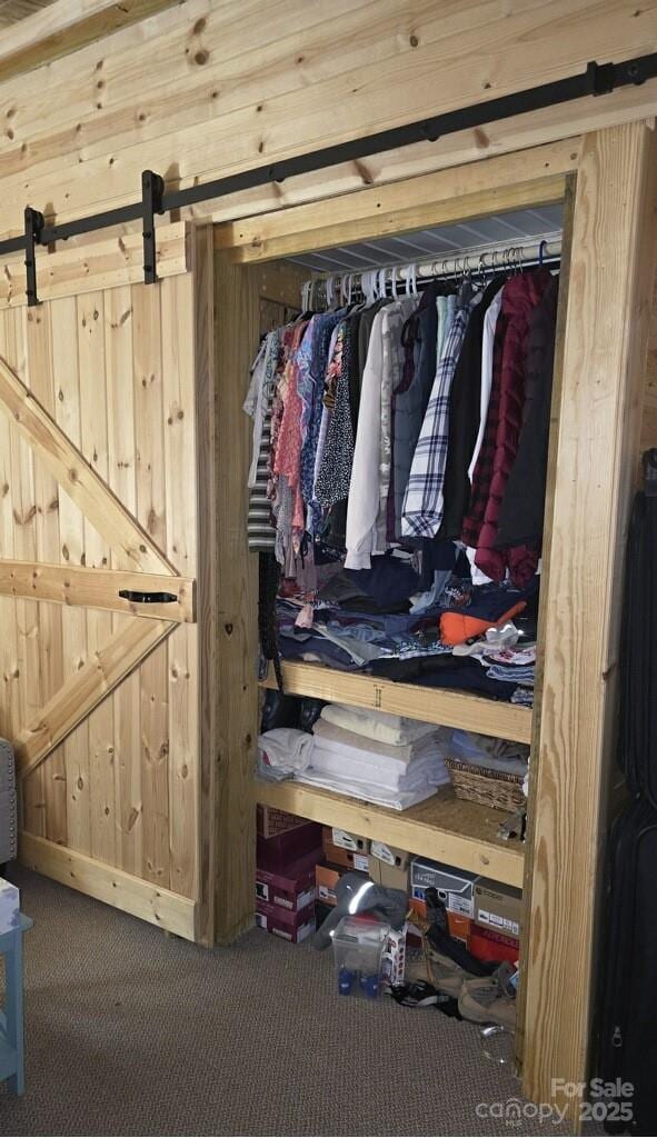 view of closet