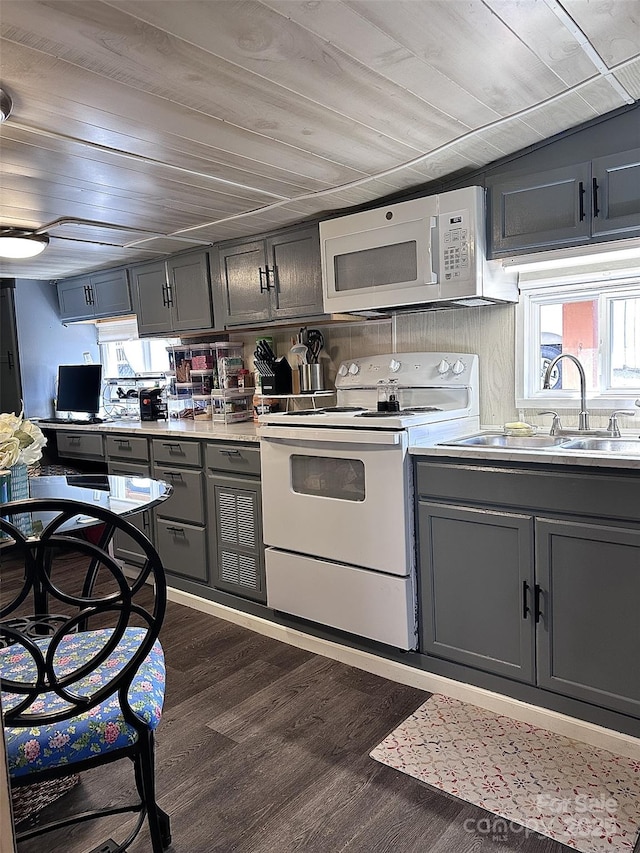 kitchen featuring white appliances, dark wood-style flooring, plenty of natural light, and gray cabinetry