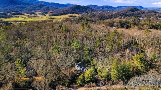 property view of mountains with a view of trees