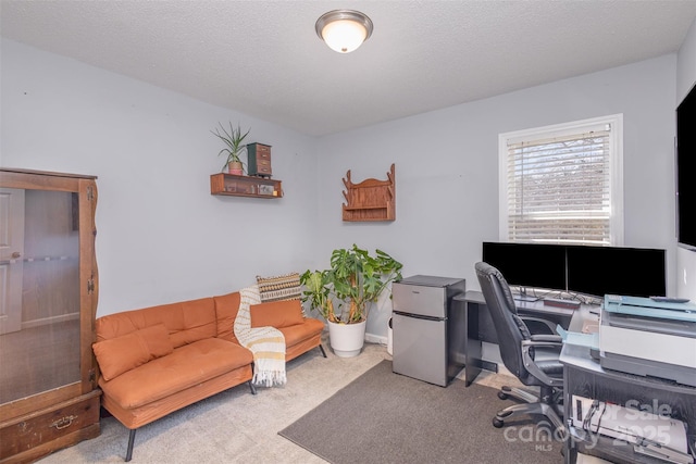 office space with light carpet and a textured ceiling