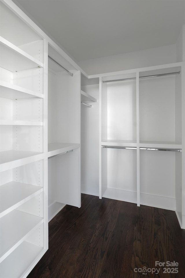 spacious closet featuring dark wood-style floors