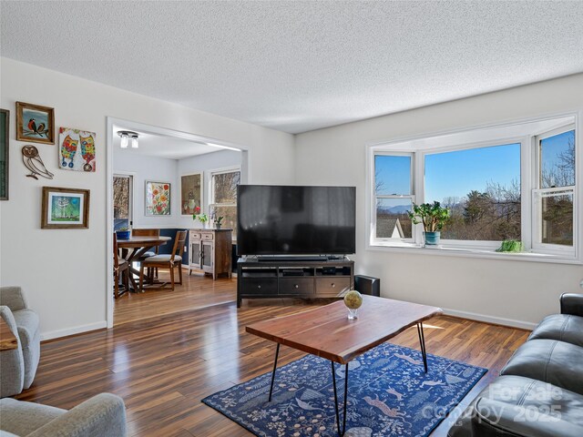 living room featuring a textured ceiling, wood finished floors, and baseboards