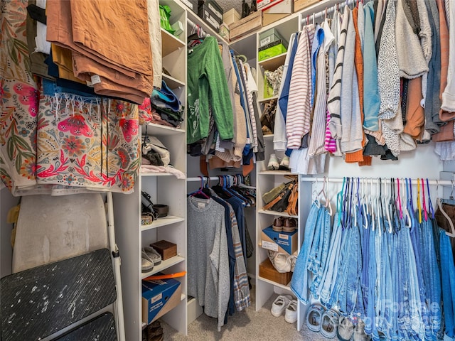 spacious closet featuring carpet