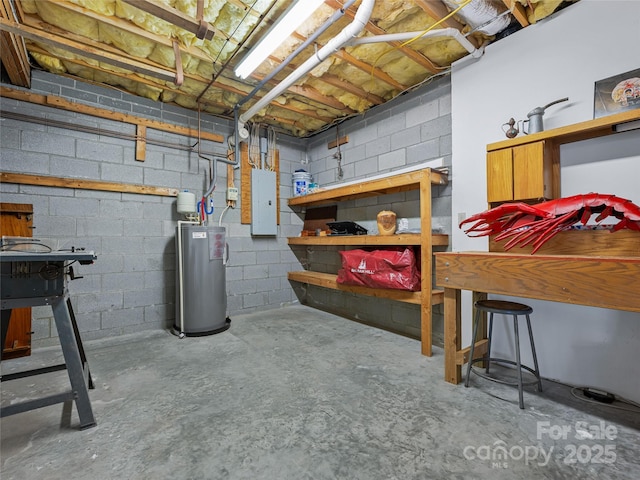 unfinished basement with gas water heater and electric panel