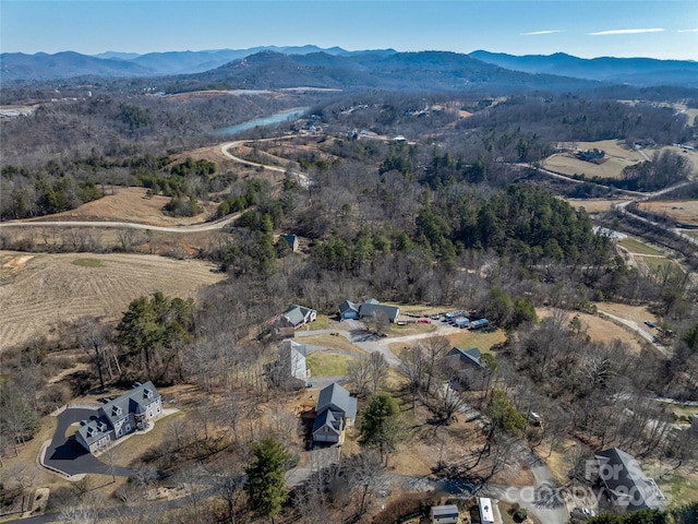 bird's eye view with a mountain view