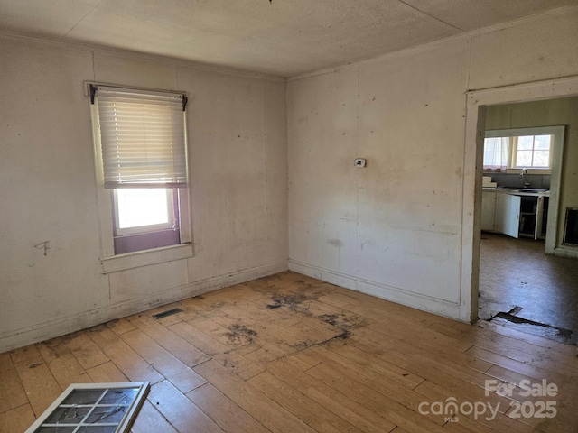 spare room featuring light wood-type flooring, a healthy amount of sunlight, and a sink