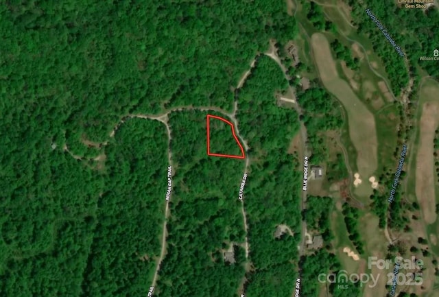 Listing photo 2 for LOT221 US-221 Hwy, Marion NC 28752