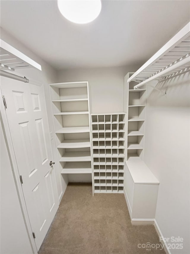 spacious closet with carpet floors