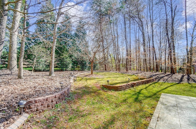 6548 Robin Hollow Dr, Mint Hill, NC 28227 - view of yard