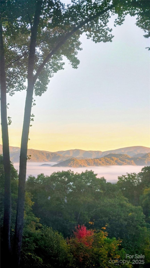 61 Creekside Way Unit G201, Burnsville, NC 28714 - water view featuring mountains