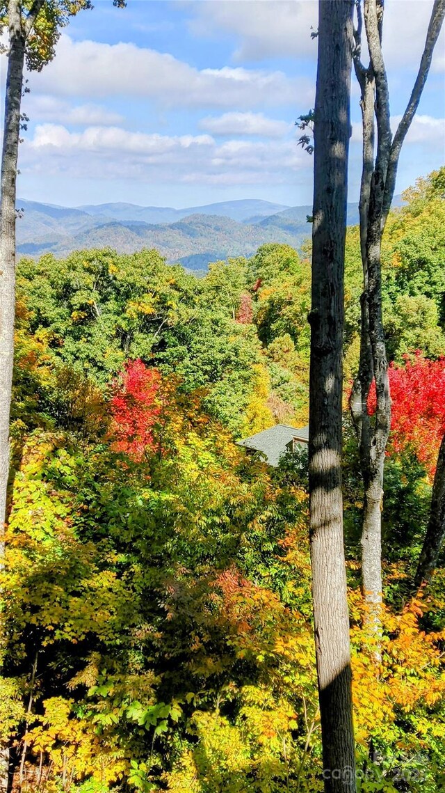 61 Creekside Way Unit G201, Burnsville, NC 28714 - view of mountain background featuring a forest