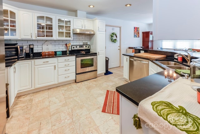 kitchen featuring tasteful backsplash, dark countertops, appliances with stainless steel finishes, under cabinet range hood, and a sink