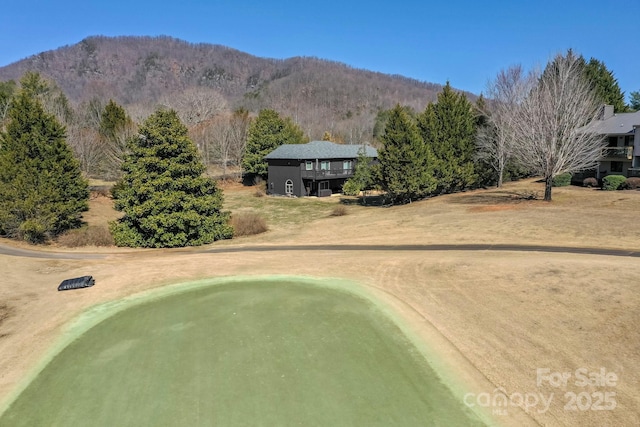 birds eye view of property featuring a mountain view