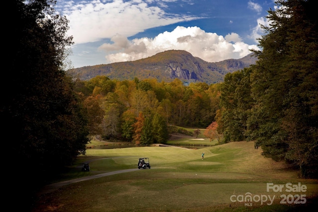 surrounding community with a lawn, a view of trees, and a mountain view