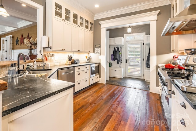 kitchen with ornamental molding, dark wood-style flooring, exhaust hood, stainless steel appliances, and a sink