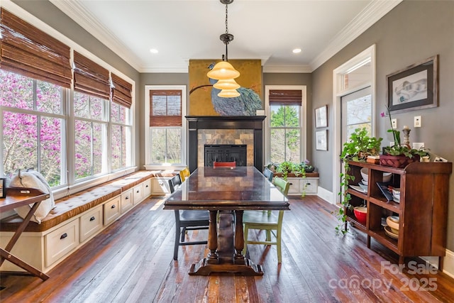 dining area featuring dark wood finished floors, a fireplace, baseboards, and ornamental molding