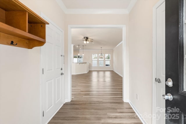 interior space with ornamental molding, a ceiling fan, light wood-style flooring, and baseboards