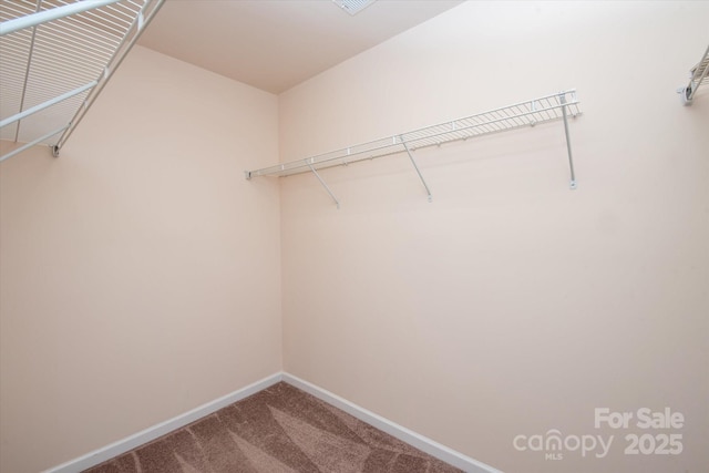 walk in closet featuring carpet flooring