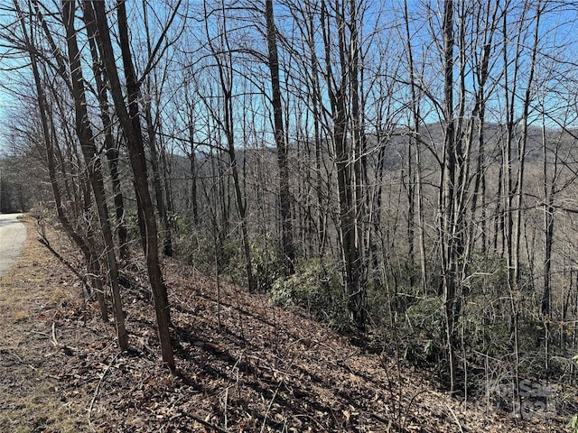 Listing photo 2 for 239 Fuji Falls Trl Unit 138, Black Mountain NC 28711