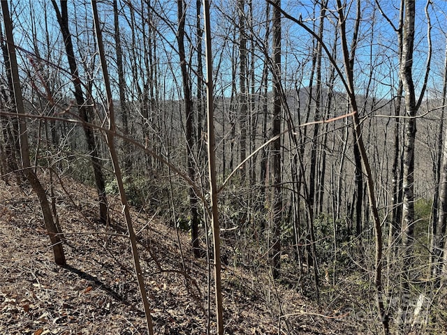 Listing photo 3 for 239 Fuji Falls Trl Unit 138, Black Mountain NC 28711