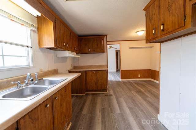 kitchen featuring brown cabinetry, dark wood-type flooring, a sink, and a textured ceiling