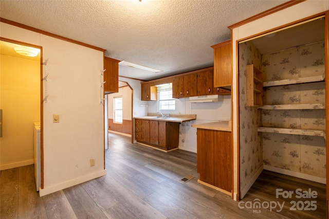 kitchen featuring baseboards, dark wood-style floors, brown cabinets, light countertops, and a textured ceiling