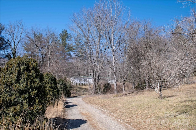 view of road featuring driveway