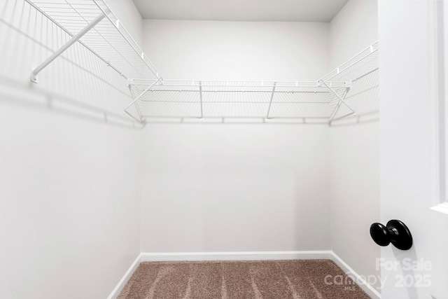 3358 Burberry Dr, Gastonia, NC 28052 - walk in closet featuring carpet floors