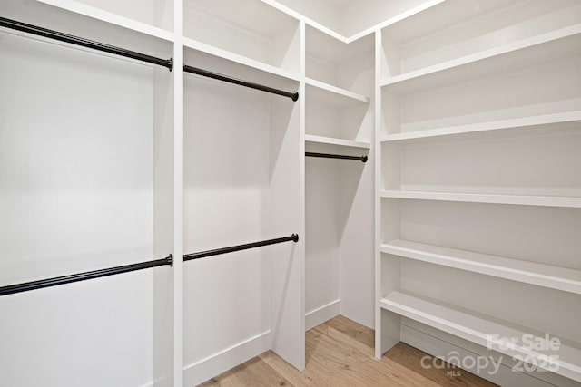 walk in closet with light wood finished floors