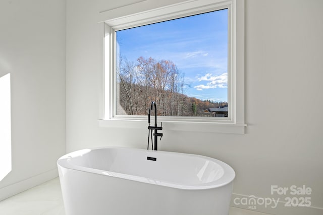 bathroom with a freestanding tub