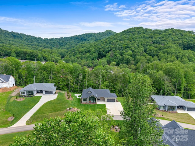 90 Bridgeway Dr Unit 25, Candler, NC 28715 - drone / aerial view of a forest