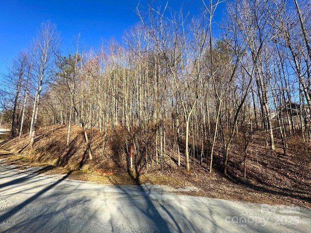 LOT2 Glenhaven Dr, Marion, NC 28752 - photo 6