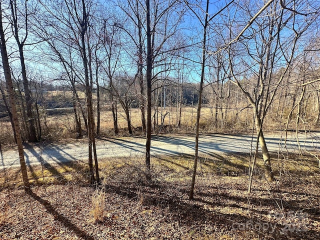 LOT2 Glenhaven Dr, Marion, NC 28752 - photo 10